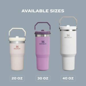Read more about the article STANLEY IceFlow vs bink Water Bottle Best Tumbler?