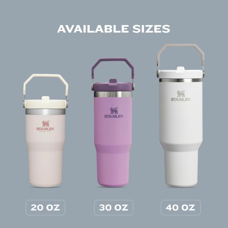 Read more about the article STANLEY IceFlow vs bink Water Bottle Best Tumbler?